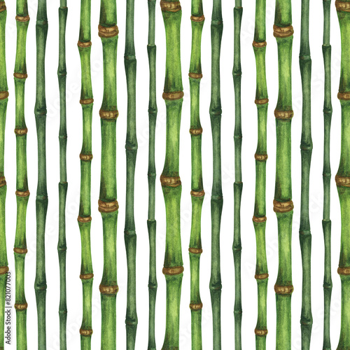Green bamboo stems seamless pattern. Watercolor hand drawn botanical illustration on white background