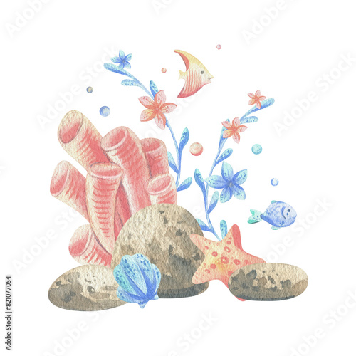 Sea corals  algae  shells  starfish  fish  bubbles. Watercolor illustration hand drawn in coral  turquoise and blue colors. Composition isolated from the background