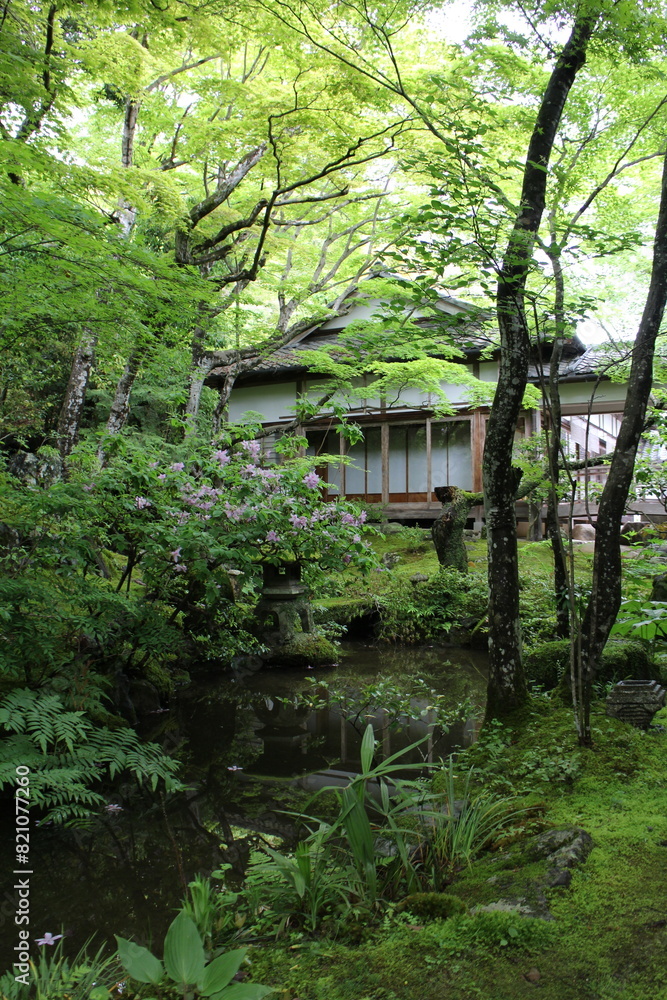 Fresh green in Jojakko-ji Temple in Kyoto, Japan Fresh green in Jojakko-ji Temple in Kyoto, Japan