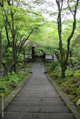 Nio-mon Gate and fresh green in Jojakko-ji Temple in Kyoto, Japan