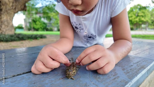 Small girld playing with dead cicada on park bench. photo