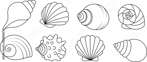 Set of seashell coloring page for kids. Summer outline doodle colouring page isolated on white background. Sea animal coloring book for kids