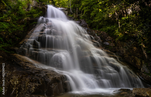 waterfall in the forest