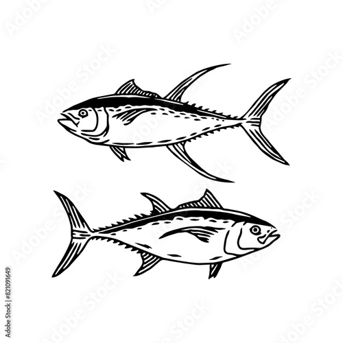 vector of saltwater fish name is tuna on white background. use for illustration or sticker and logo