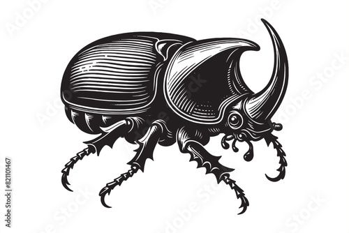 European rhinoceros beetle.  Oryctes nasicornis. Lucanus cervus. Vintage retro engraving illustration. Black icon, isolated element