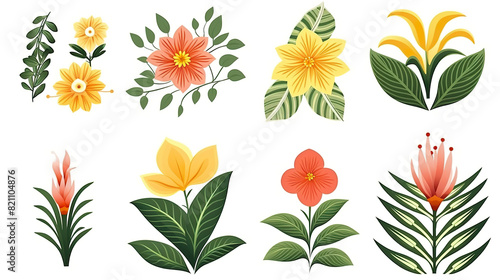 Plants with exotic blooms isolated on a white background