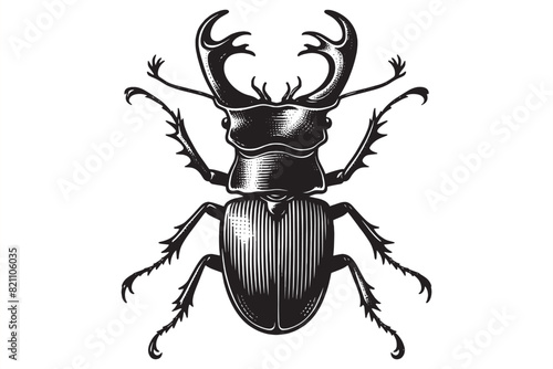 Stag beetle. Lucanus cervus.  Vintage retro engraving illustration. Black icon, isolated element