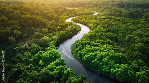 Aerial view of a winding river flowing through a lush forest, a serene and untouched landscape from above.