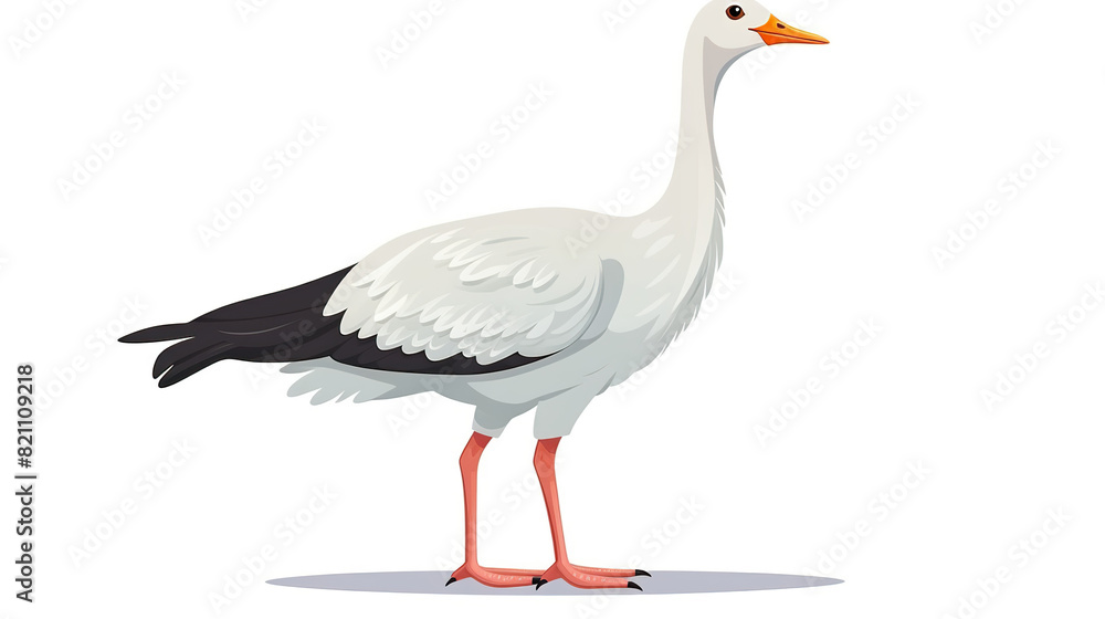 Fototapeta premium Geese isolated against a stark white background