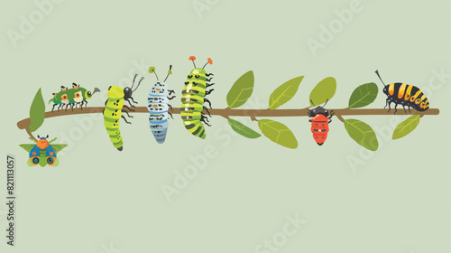Butterfly life cycle - caterpillar larva pupa  photo