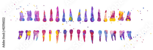 Dental Row. Vector colorful watercolor illustration