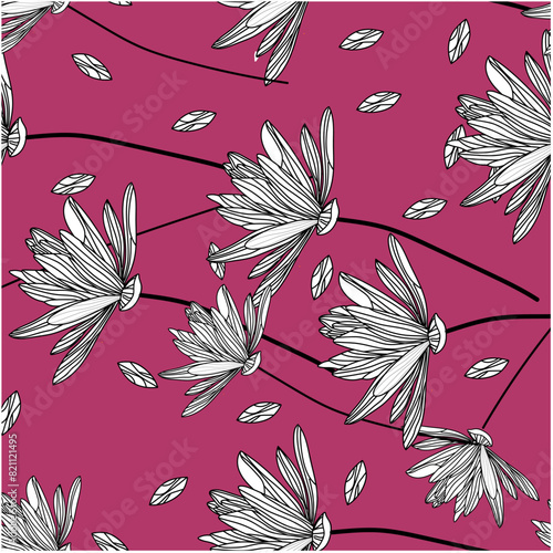 biometric, flower, pink, nature, isolated, spring, beauty, summer, daisy, plant, flowers, bloom, blossom, flora, floral, white, chrysanthemum, petal, yellow, purple, bouquet, macro, cosmos, closeup, g