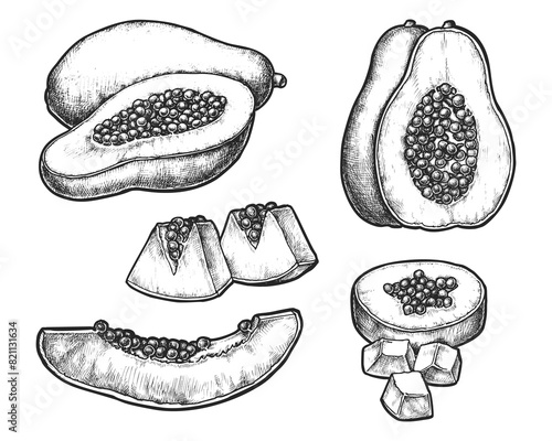 Set of isolated realistic sliced papaya with seeds. Sketch of papaw ingredient for vegan nutrition. Hand drawn pawpaw for vegan meal. Exotic fruit for culinary or market grocery. Farming harvest