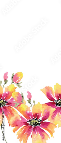 biometric, flower, pink, nature, isolated, spring, beauty, summer, daisy, plant, flowers, bloom, blossom, flora, floral, white, chrysanthemum, petal, yellow, purple, bouquet, macro, cosmos, closeup, g