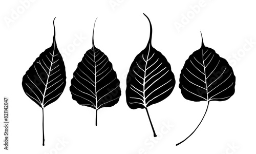 silhouette bodhi leaf, peaceful leaf vector, mind fresh leaf, beautiful leaves collection, holy leaf vector designs
