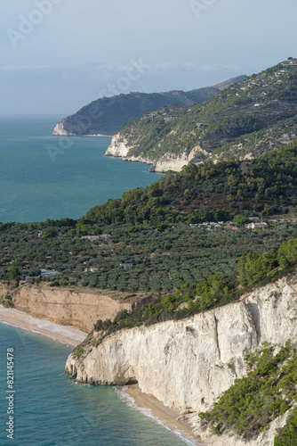 Gargano Promontory, cliffs on the shores of the Adriatic sea, Italy, Apulia, Province of Foggia
