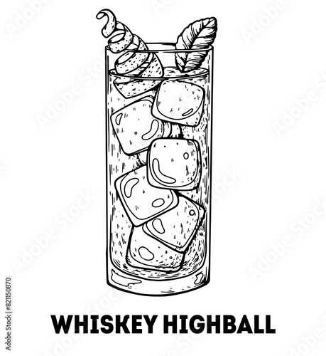 Whiskey highball cocktail illustration. Hand drawn sketch. Vector illustration. Isolated object.