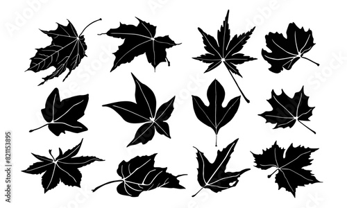Maple Leaf Icon, silhouette Canada Maple Leaf Set, Maple Leaves unique designs, Canadian Vector Illustration Logo, Maple-Leaf Icon, isolated Maple Leaf Collection