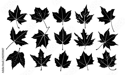 maple leaf silhouettes vector set	