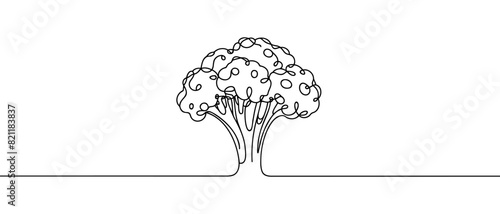 Continuous one line drawing broccoli. Vector illustration. Vegan art on white background.