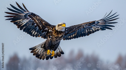 Award Winning National Geographic rule of thirds, photograph of a majestic eagle in flight, minimalist, plain sky blue background, ultra realistic photo, left in frame The powerful