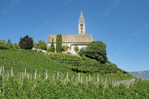 Church St.Vigilius in Vineyard of Kurtatsch an der Weinstrasse,South Tyrol,Trentino,Italy