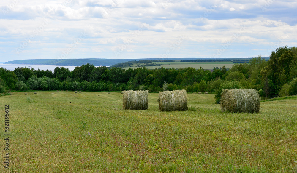 bales in a field with the sea in the background copy space