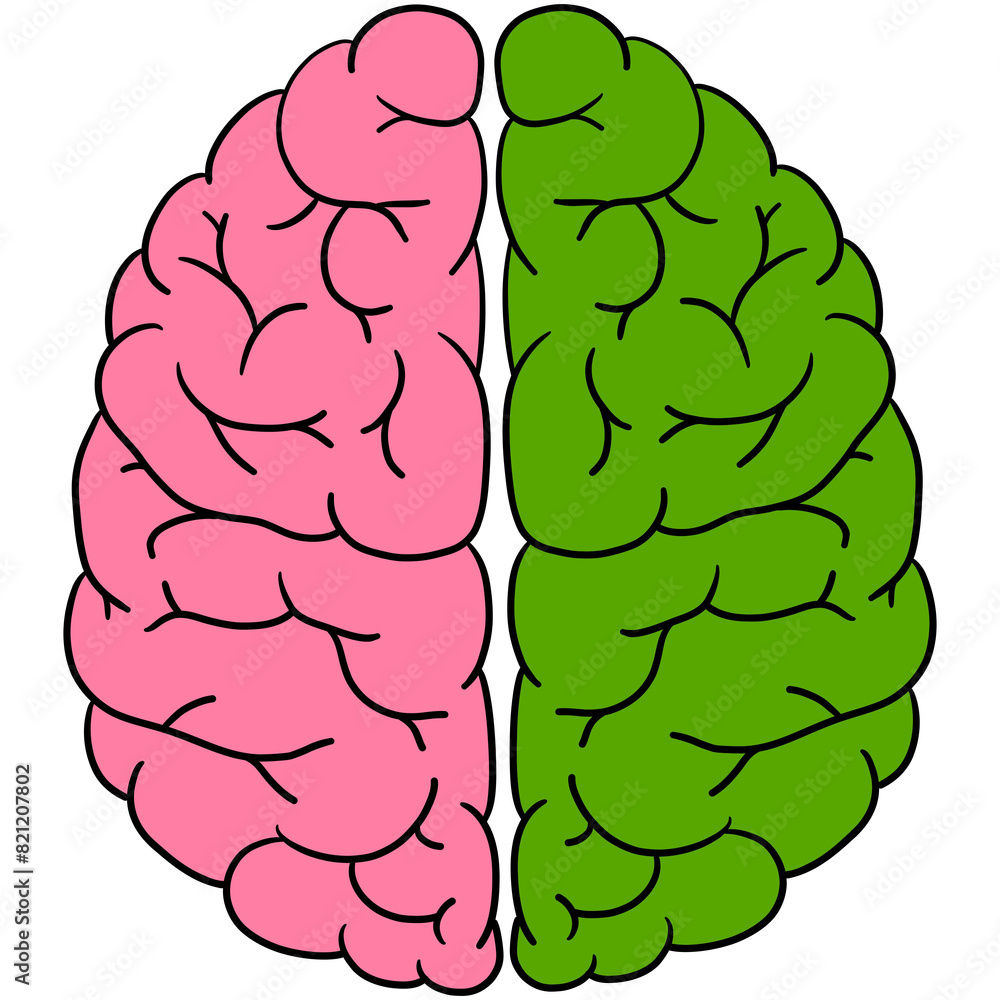 Fototapeta premium Illustration of left and right brain hemispheres