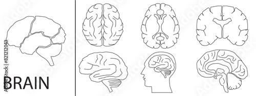 Brain Medical Icon