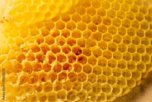 Closeup of a honey bee on a honeycomb with hexagonal cells, showcasing the intricate pattern and golden texture of beeswax. © Kanthita