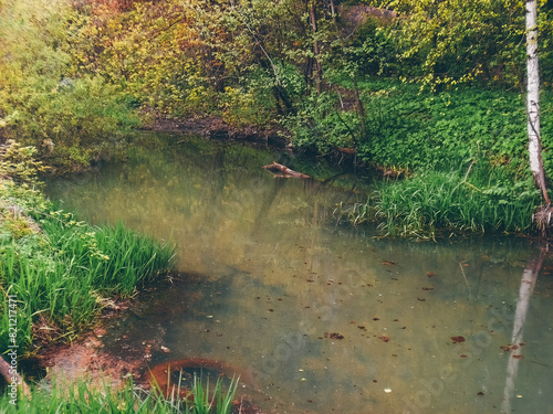 dirty, muddy river with discarded tyre on its bank