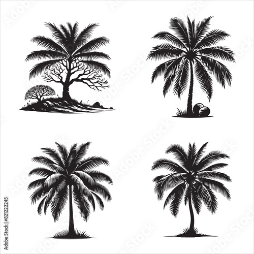 Coconut tree tropical vector design1