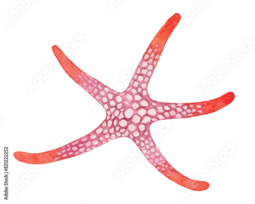 Colorful Starfish, Underwater Life watercolor vector illustration isolated on white background
