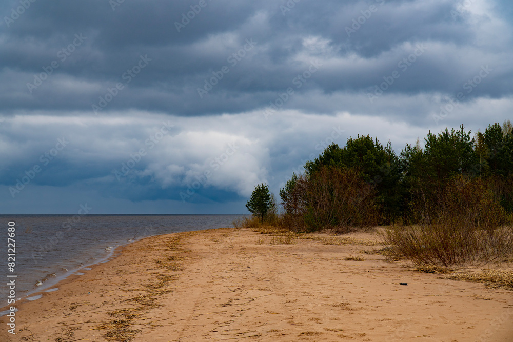 Captivating scene of a deserted sandy beach under a dramatic cloudy sky, with a dense pine forest in the background. Perfect for nature and weather-related projects Captivating scene of a deserted sandy beach under a dramatic cloudy sky, with a dense pine forest in the background. Perfect for nature and weather-related projects