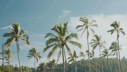 tropical island paradise background with palms silhouette and sky