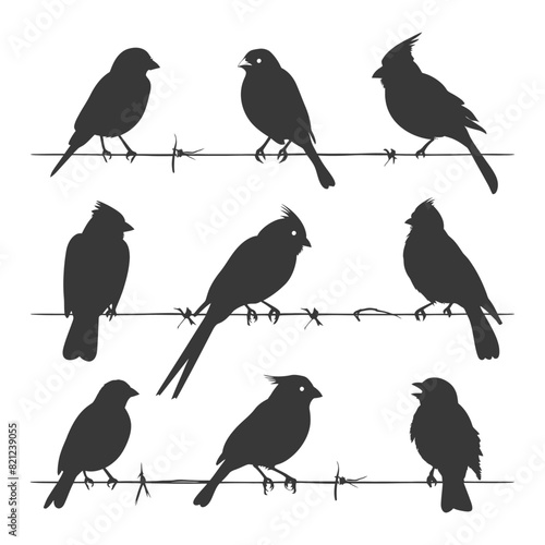 Wallpaper Mural Silhouette birds on wire black color only Torontodigital.ca