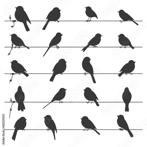 Silhouette birds on wire black color only