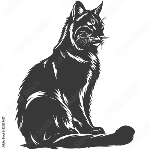 Silhouette bobcat animal black color only