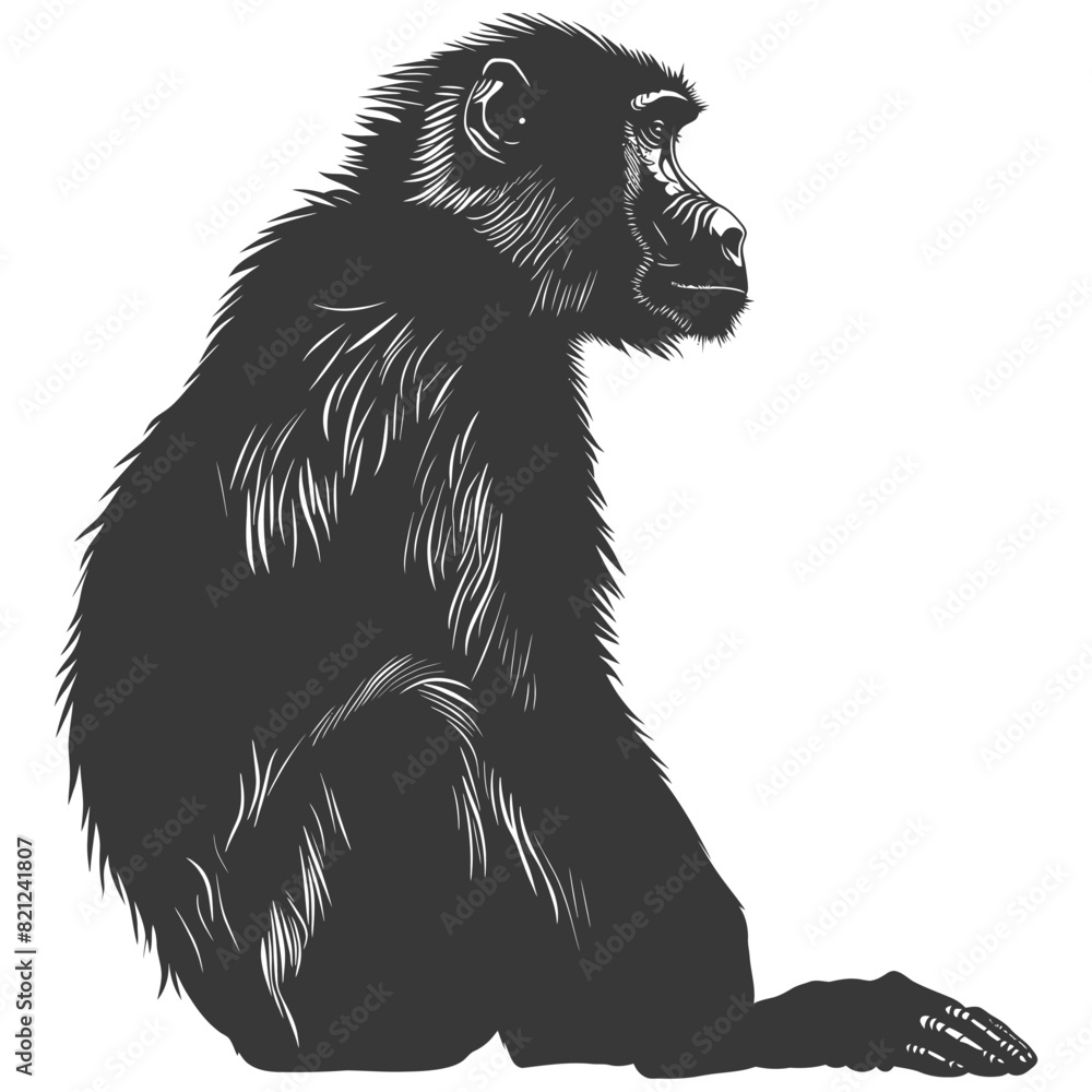 Silhouette Baboon animal black color only Silhouette Baboon animal black color only