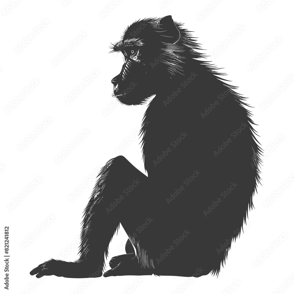 Silhouette Baboon animal black color only Silhouette Baboon animal black color only