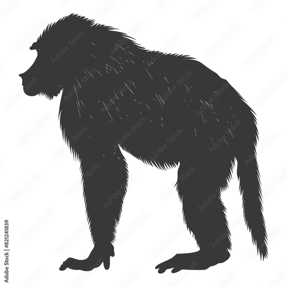 Silhouette Baboon animal black color only Silhouette Baboon animal black color only