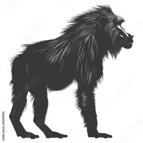 Silhouette Baboon animal black color only