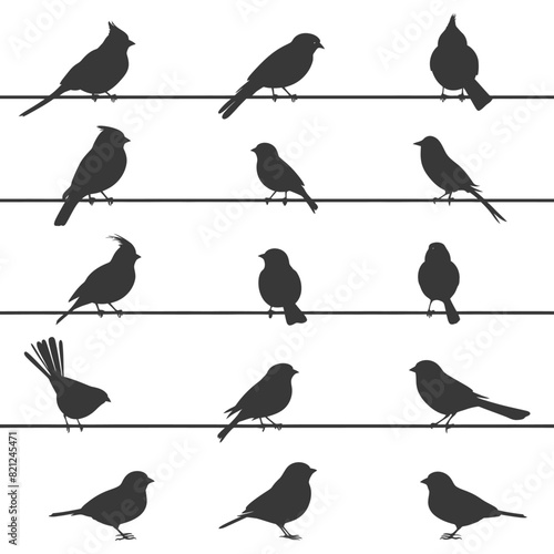 Silhouette birds on wire black color only