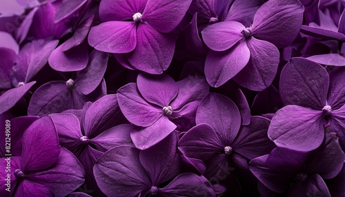 abstract dark purple background banner © Joseph