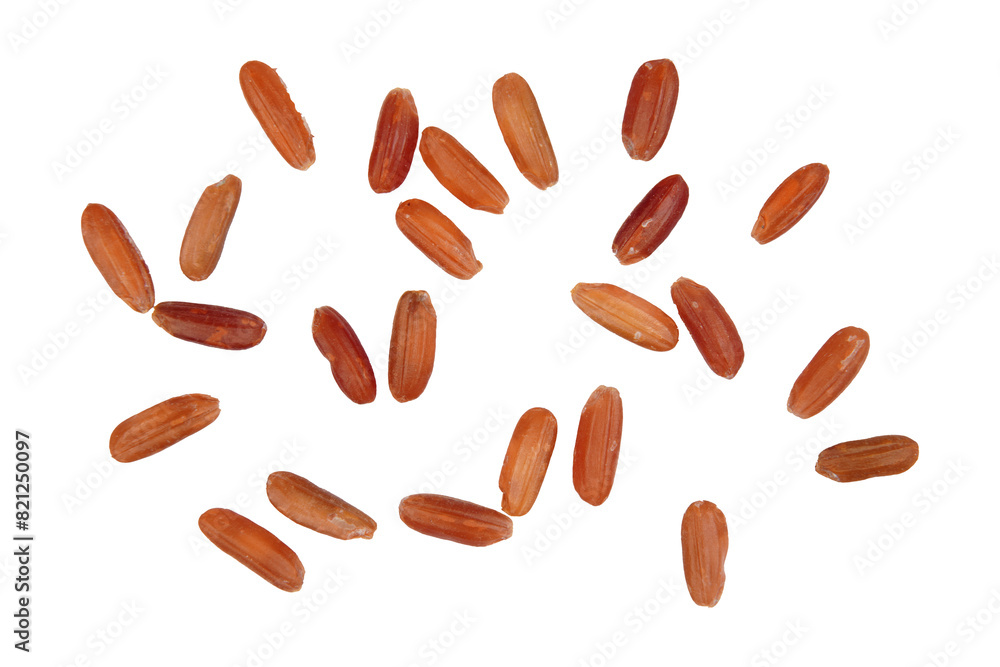 close up of scattered red rice grains isolated transparent close up of scattered red rice grains isolated transparent