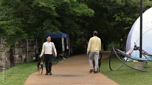 Young Hispanic Male Walking Senior Adult Dog in Park