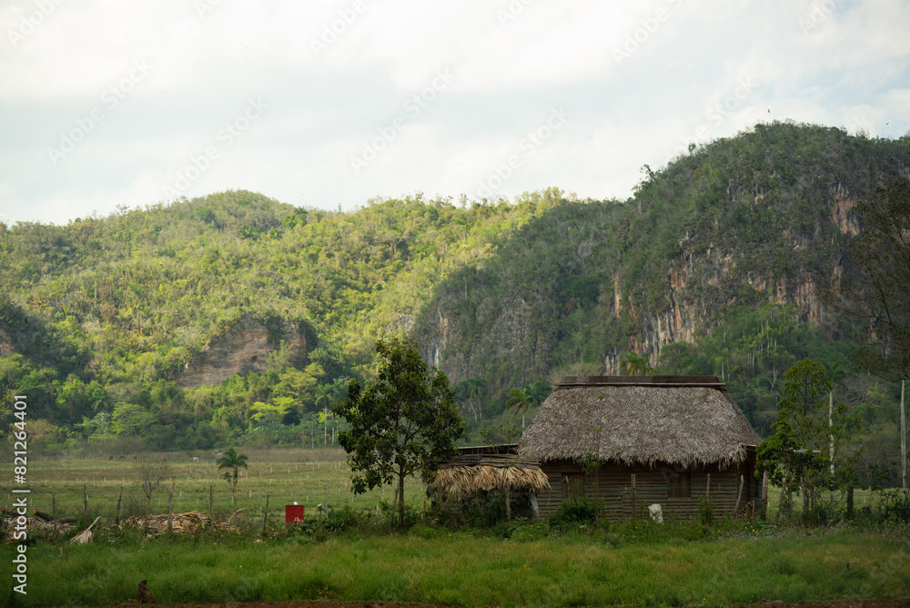 Viñales Valley in Cuba, American nature, island, mountains in Cuba, Cuban nature
Viñales Valley in Cuba, American nature, island, mountains in Cuba, Cuban nature