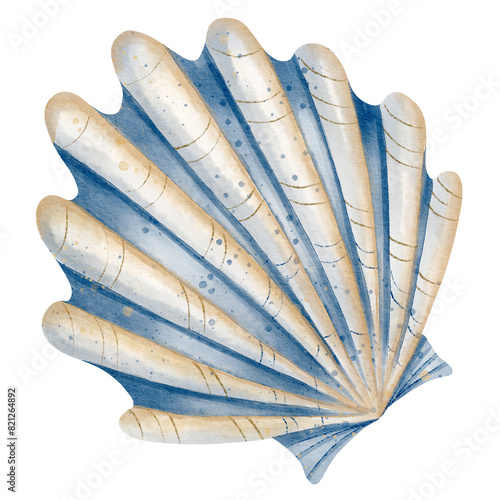 Seashell watercolor illustration. Hand drawn sketch of sea shell in pastel blue and beige colors. Drawing of seashore for nautical design. Cockleshell for icon or logo. Marine element. photo