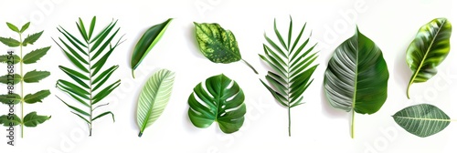 Vibrant Tropical Leaves on White Background for Nature Inspired Designs Generative AI