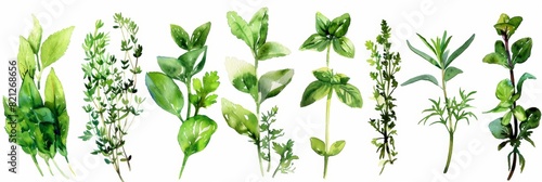 Culinary Delights: Watercolor Herbs Collection for Recipes and Menus Generative AI